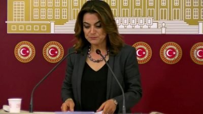 DEM Parti Grup Başkanvekili Gülistan Kılıç Koçyiğit, Yenidoğan Çetesi Davası'nı