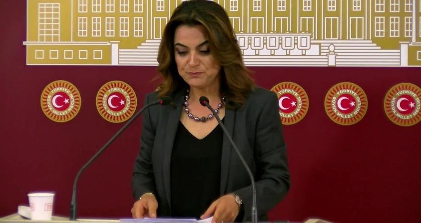 DEM Parti Grup Başkanvekili Gülistan Kılıç Koçyiğit, Yenidoğan Çetesi Davası'nı