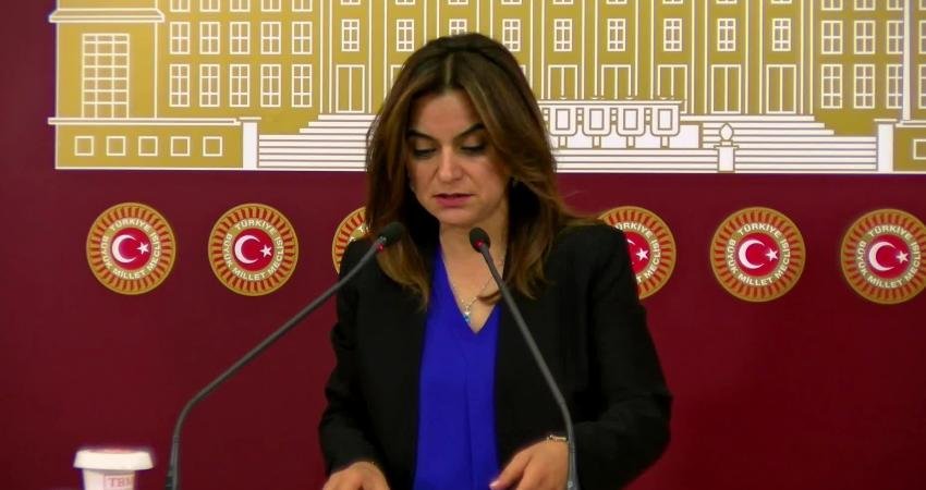 DEM Parti Grup Başkanvekili Gülüstan Kılıç Koçyiğit, Mardin, Batman ve Halfeti