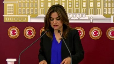 DEM Parti Grup Başkanvekili Gülüstan Kılıç Koçyiğit, "Kürt kentlerine kayyum