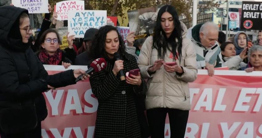 Yaşatacağız Platformu’nun çağrısıyla Kadıköy’de bir araya gelen hayvan hakları savunucuları