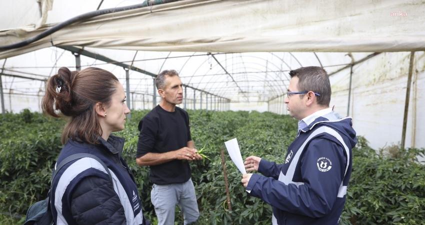 İstanbul Büyükşehir Belediyesi (İBB), kentin üreticilerine tohum, fide desteğinin yanında