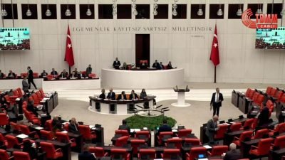 TBMM İçişleri Komisyonu Başkanı Süleyman Soylu, TBMM Genel Kurulu'nda ateşli silahlara