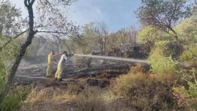 Muğla'nın Menteşe ilçesi Kafaca yakınlarında ormanlık alanda çıkan yangın kontrol