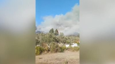 Muğla'nın Menteşe ilçesi Kafaca yakınlarında ormanlık alanda yangın çıktı. Yangına
