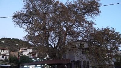 Osmangazi Belediyesi, Büyük Önder Mustafa Kemal Atatürk’ü ölümünün 86’ıncı yılında