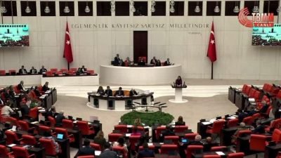 CHP İzmir Milletvekili Gökçe Gökçen, TBMM Genel Kurulu'nda yaptığı konuşmada,