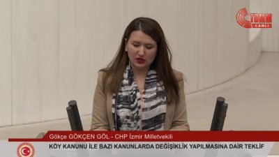 TBMM Genel Kurulu'nda, Köy Kanunu İle Bazı Kanunlarda Değişiklik Yapılmasına