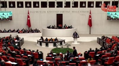 TBMM Genel Kurulu'nda ateşli silahlara ve yetkisiz çakar kullanımına ilişkin ceza