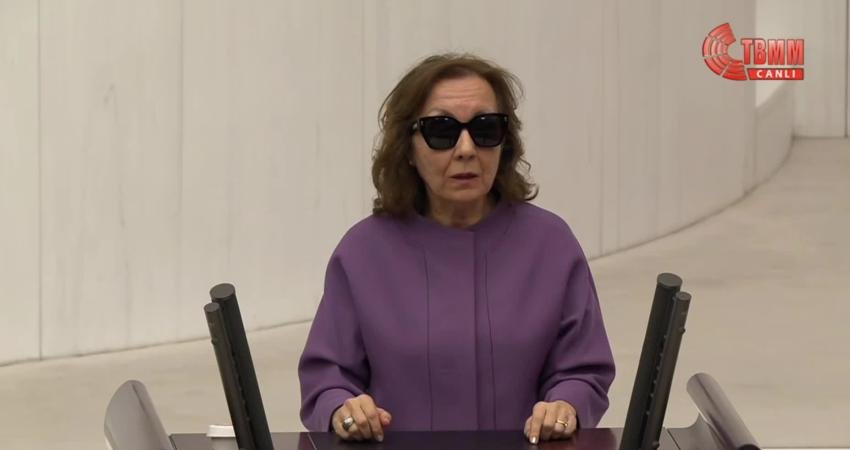 Gelecek Saadet Grubu Antalya Milletvekili Serap Yazıcı Özbudun, "Etki ajanlığını