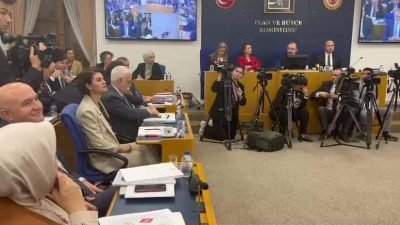 T TBMM Plan ve Bütçe Komisyonunda, Çalışma ve Sosyal Güvenlik Bakanlığı'nın