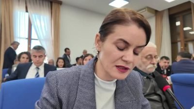 DEM Parti Van Milletvekili Gülcan Kaçmaz Sayyiğit, TBMM Plan ve