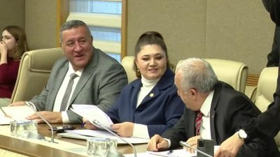 TBMM Sağlık, Aile, Çalışma ve Sosyal İşler Komisyonu Başkanı, eski