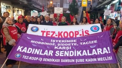 Tez-Koop-İş Sendikası Samsun Şubesi, Yenidoğan Çetesi ve sağlık alanında yaşanan problemlere