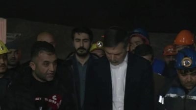 Türkiye İşçi Partisi (TİP) Genel Başkanı Erkan Baş, Ankara'nın Nallıhan ilçesindeki