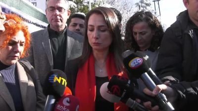 DEM Parti Eş Genel Başkanı Tülay Hatimoğulları, MHP Genel Başkanı