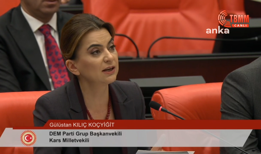 DEM Parti Grup Başkanvekili Gülistan Kılıç Koçyiğit, TBMM Genel Kurulu'nda; terör