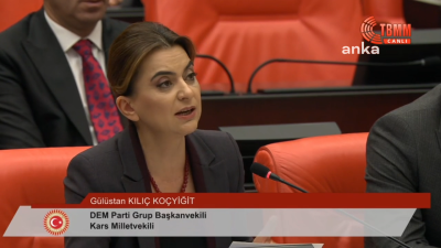 TBMM Genel Kurulu'nda DEM Parti'nin kadına yönelik şiddetin araştırılması önergesinde