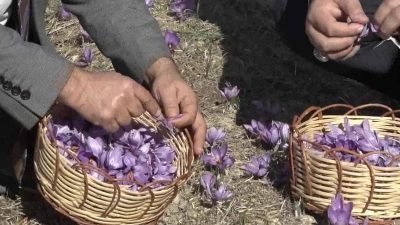 Yenişehir Belediyesi ve Yenişehir İlçe Tarım ve Orman Müdürlüğü iş
