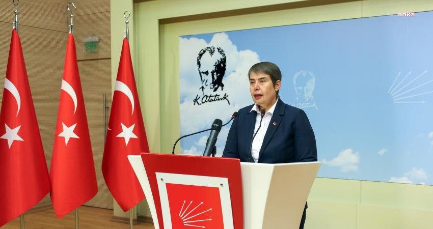 CHP Genel Başkan Yardımcısı Zeliha Aksaz Şahbaz, 14 Kasım Dünya