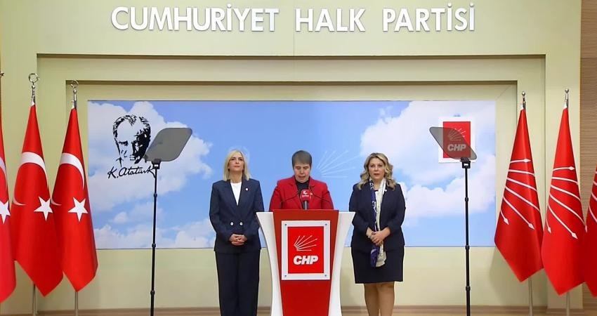 CHP Genel Başkan Yardımcısı Zeliha Aksaz Şahbaz, “yenidoğan çetesi” ve