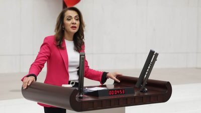 CHP Bursa Milletvekili Kayıhan Pala, Sağlık Bakanlığı'nın 2025 yılı bütçesi