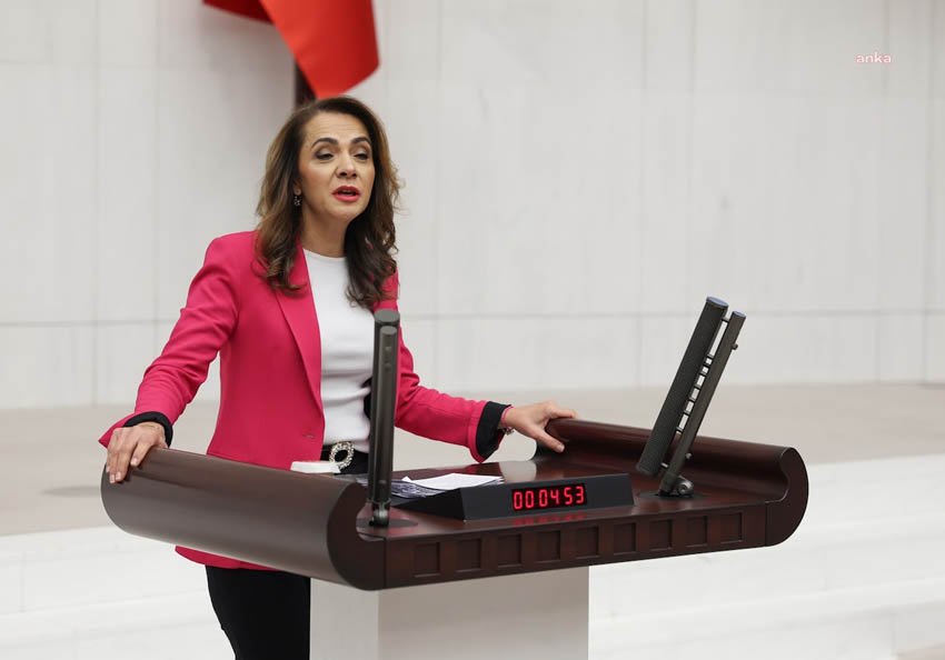 CHP Bursa Milletvekili Kayıhan Pala, Sağlık Bakanlığı'nın 2025 yılı bütçesi