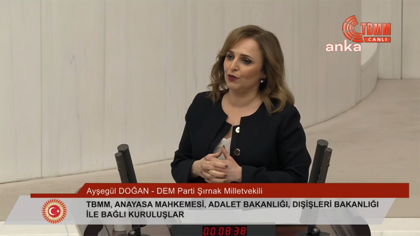 DEM Parti Sözcüsü Ayşegül Doğan, "Bugün kürtler bulundukları her coğrafyada