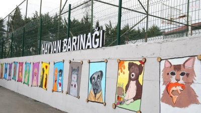 Bayrampaşalı onlarca lise öğrencisi, Bayrampaşa Belediyesi Hayvan Bakım Merkezi’nin duvarlarına