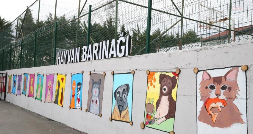 Bayrampaşalı onlarca lise öğrencisi, Bayrampaşa Belediyesi Hayvan Bakım Merkezi’nin duvarlarına