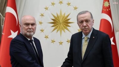 Cumhurbaşkanı Recep Tayyip Erdoğan, Avrupa Güvenlik ve İşbirliği Teşkilatı (AGİT)