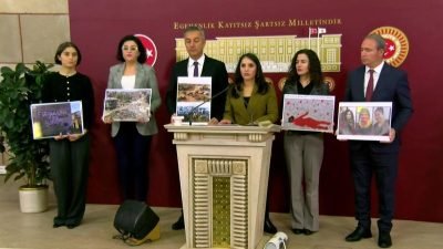 DEM Parti Şırnak Milletvekili Nevroz Uysal Aslan, ' Türkiye, Amerika