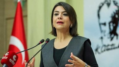 CHP Emek Büroları Koordinatörü ve Genel Başkan Yardımcısı Gamze Taşcıer, Çalışma
