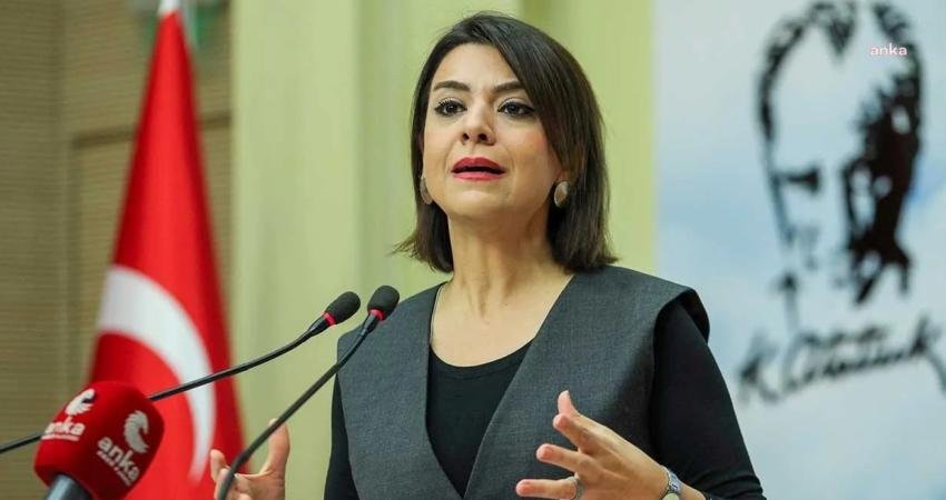 CHP Emek Büroları Koordinatörü ve Genel Başkan Yardımcısı Gamze Taşcıer, Çalışma
