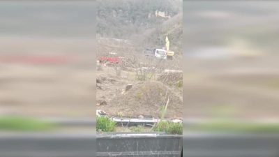 Giresun'da AKP'li İl Genel Meclis üyesine ait şirket, araziden izinsiz