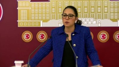 Türkiye İşçi Partisi (TİP) Sözcüsü Sera Kadıgil, Meclis'te düzenlediği basın