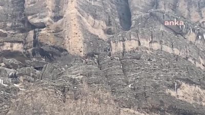 Arapgir Kültür Derneği, Malatya'da Roma dönemine ait 2 bin yıllık Taş