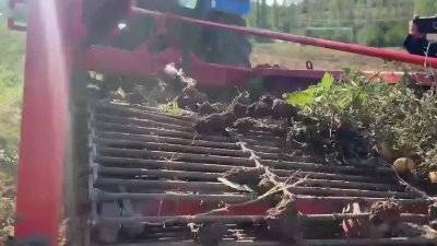 Yozgat’ta organik tarım üretimi yapan Ahmet Erdem, 11 lira 250 kuruşa