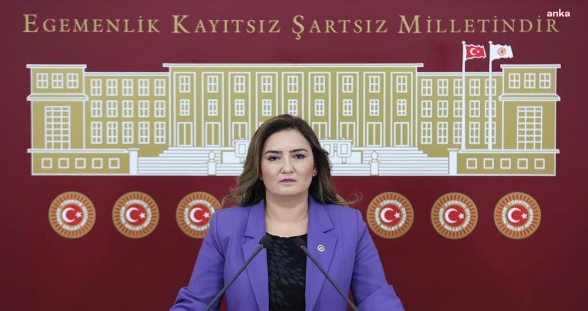 CHP İzmir Milletvekili Sevda Erdan Kılıç, Bornova İlçe Milli Eğitim