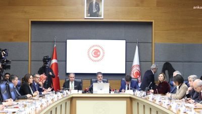 TBMM Bebek Ölümleri ve Özel Sağlık Kuruluşlarını Araştırma Komisyonu'nda Sağlık