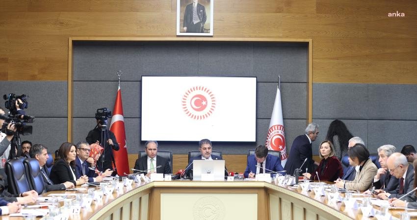 TBMM Bebek Ölümleri ve Özel Sağlık Kuruluşlarını Araştırma Komisyonu'nda Sağlık