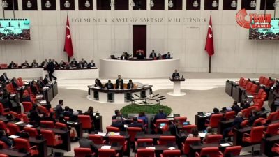 İYİ Parti Adana Milletvekili Ayyüce Türkeş Taş, TBMM Genel Kurulu'ndaki