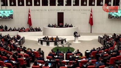 Sağlık Bakanı Kemal Memişoğlu, TBMM Genel Kurulu'nda bütçe görüşmelerinde yenidoğan çetesine ilişkin,