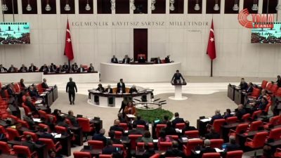 CHP Ankara Milletvekili Deniz Demir; TBMM Genel Kurulu'ndaki Enerji ve