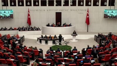 TBMM Genel Kurulu’nda bütçe görüşmelerinde konuşan CHP İzmir Milletvekili Sevda Erdan