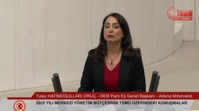 2025 Yılı Merkezi Yönetim Bütçe Kanunu Teklifi görüşmelerinde DEM Parti
