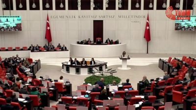 TBMM Genel Kurulu bütçe görüşmelerinde konuşan DEM Parti Muş Milletvekili Sümeyye
