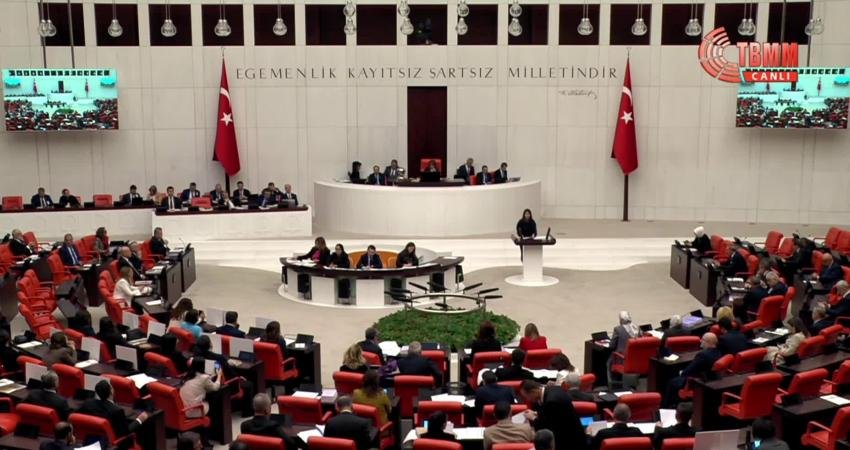 DEM Partili Mardin Milletvekili Beritan Güneş Altın, Milli Eğitim Bakanlığı'nın