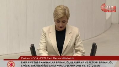 TBMM Genel Kurulu'nda Enerji ve Tabii Kaynaklar Bakanlığı'nın bütçesi üzerine