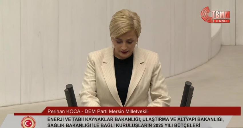 TBMM Genel Kurulu'nda Enerji ve Tabii Kaynaklar Bakanlığı'nın bütçesi üzerine